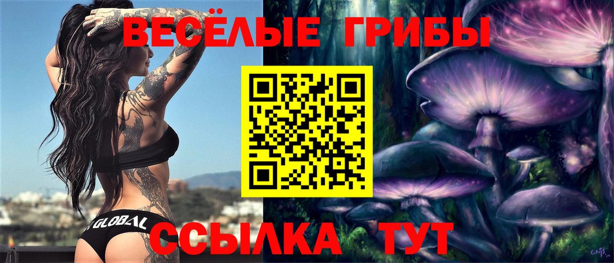 купить  цена  Вход с VPN  Рязань  Псилоцибиновые грибы прущие грибы 